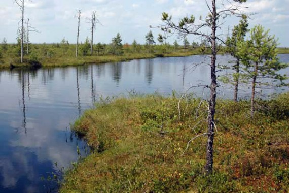 Фотография Дарвинский заповедник 2