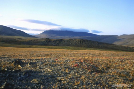 Фотография Остров Врангеля 3