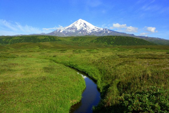 Фотография Природный парк «Быстринский» 2