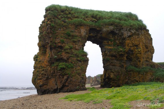 Фотография Заповедник «Командорский» 9