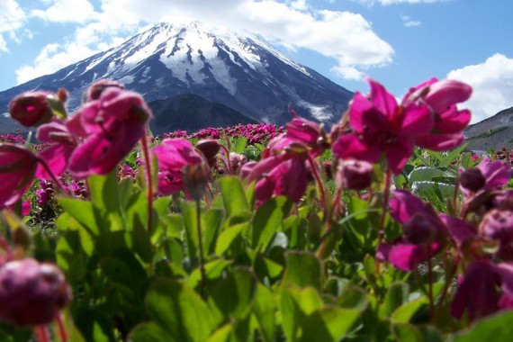 Фотография Природный парк «Налычево» 7