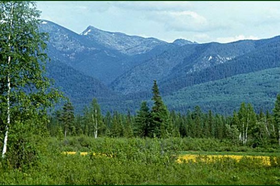 Фотография Заповедник «Баргузинский» 5