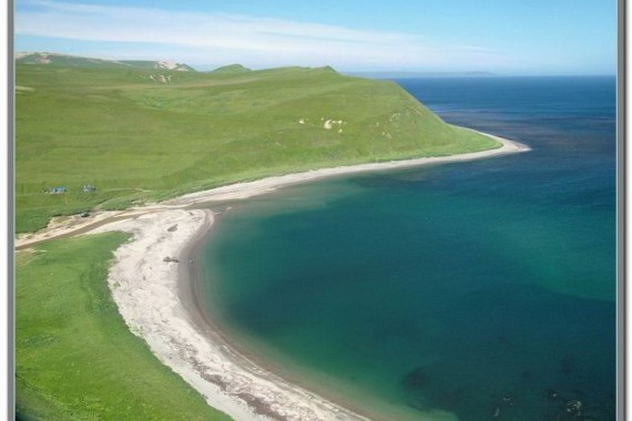 Фотография Заповедник «Командорский» 7