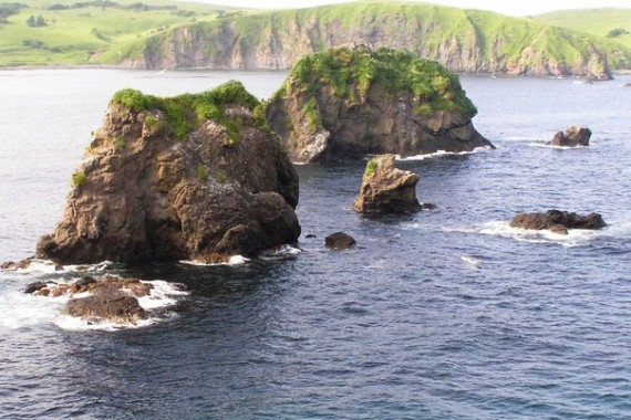 Фотография Заказник «Малые Курилы» 8