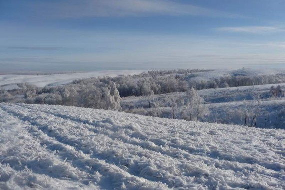 Фотография Заповедник «Оренбургский» 1