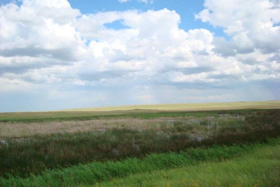 Фотография Заповедник «Оренбургский» 3