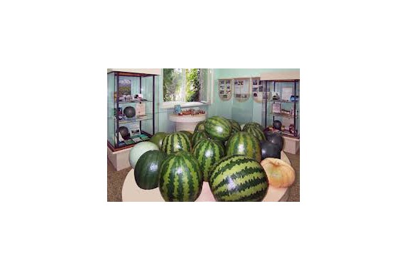 Фотография Музей «Российский арбуз» 0