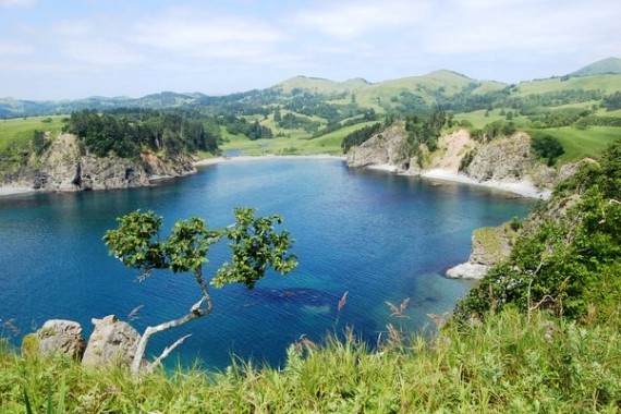 Фотография Заказник «Малые Курилы» 10