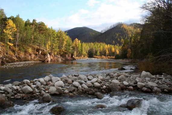 Фотография Баргузинский заповедник 1