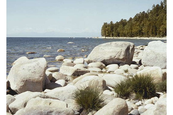 Фотография Заповедник «Баргузинский» 4