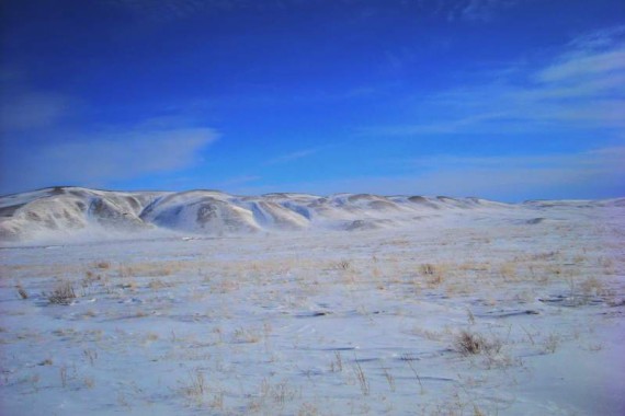 Фотография Заповедник «Оренбургский» 4