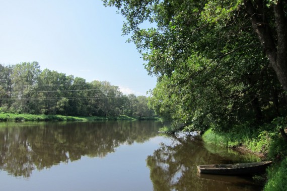 Фотография Санаторий «Русский лес» 8