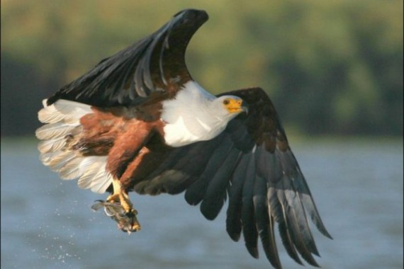 Фотография Заказник Кабанский 3