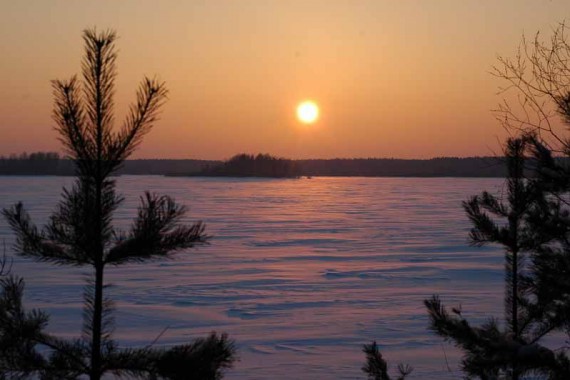 Фотография Дарвинский заповедник 3