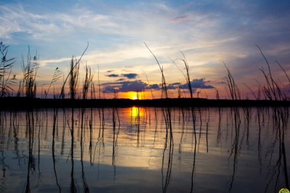 Фотография Заповедник «Кивач» 0