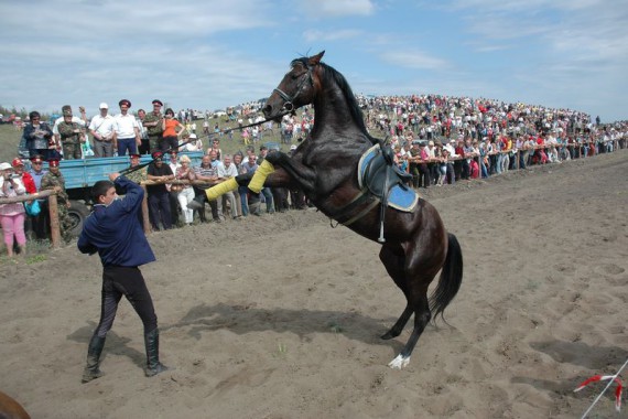 Фотография Фестиваль «Шолоховская весна» 2012 1