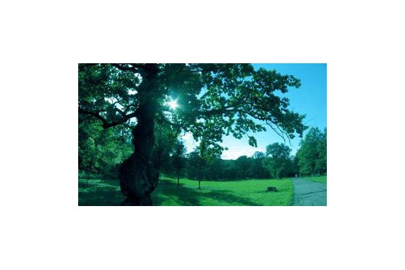 Фотография Парк “Останкино” 0