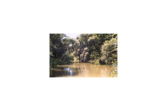 Фотография Астраханский природный заповедник 8