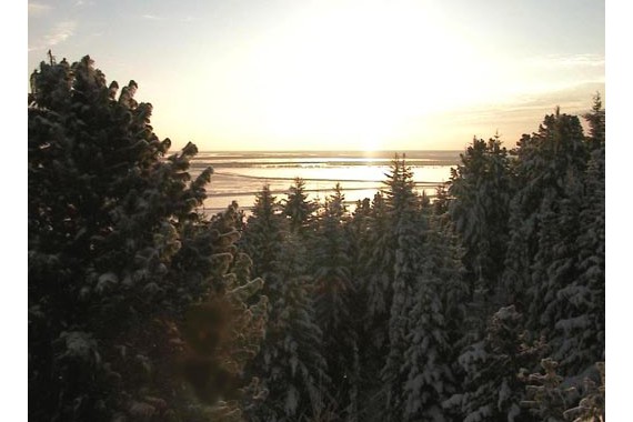 Фотография Природный парк Самаровский Чугас 0