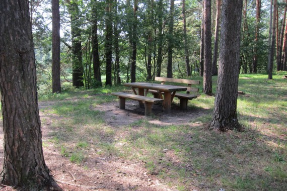 Фотография Санаторий «Русский лес» 7