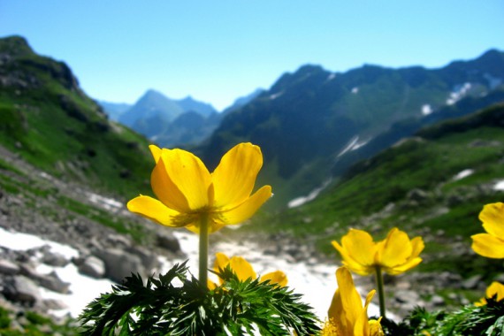 Фотография Кавказский заповедник 3