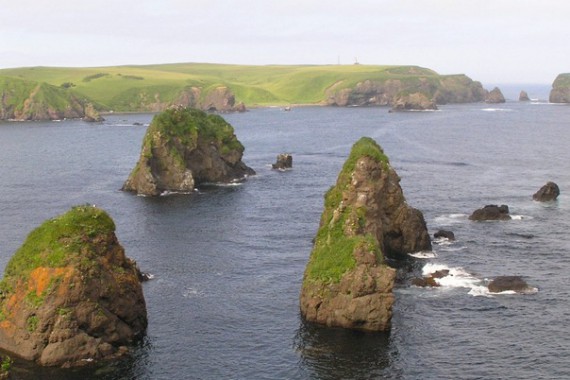 Фотография Заказник «Малые Курилы» 9