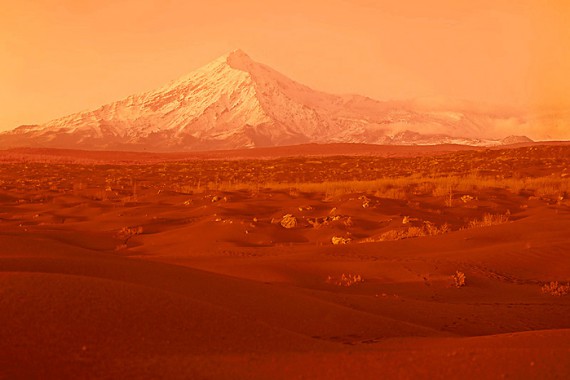 Фотография Природный парк «Вулканы Камчатки» 0