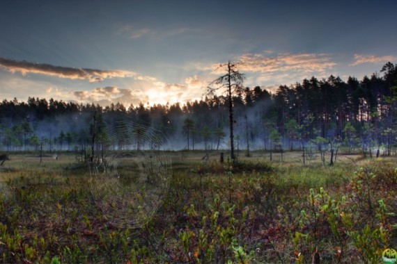 Фотография Заповедник «Кивач» 1