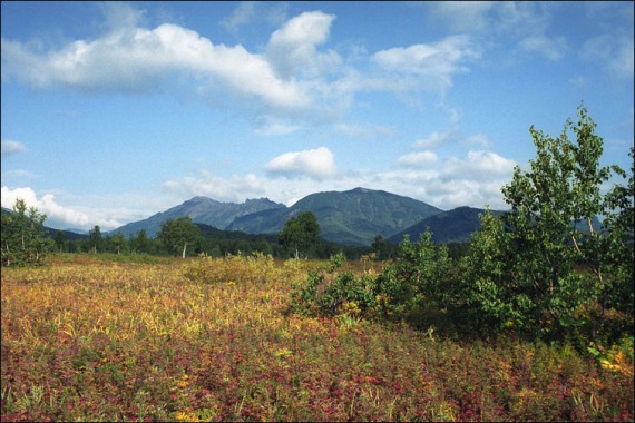 Фотография Природный парк «Налычево» 5