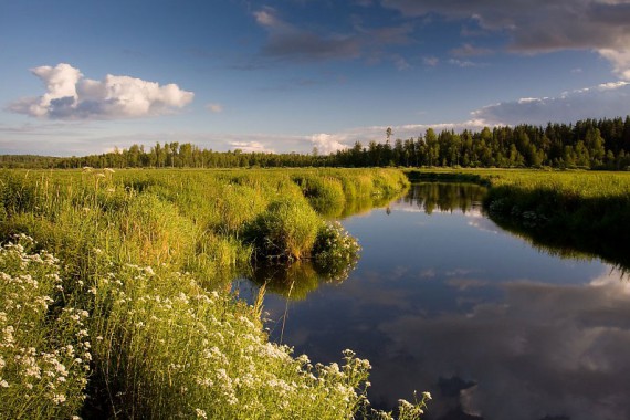 Фотография НП «Валдайский» 1