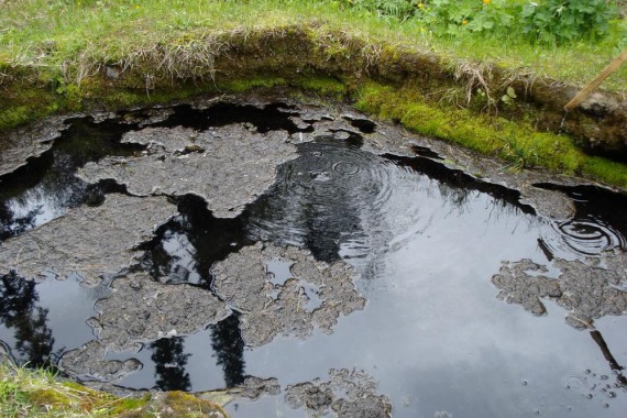 Фотография Таловские чаши 1