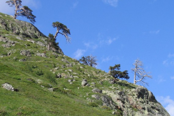 Фотография Национальный парк «Приэльбрусье» 9