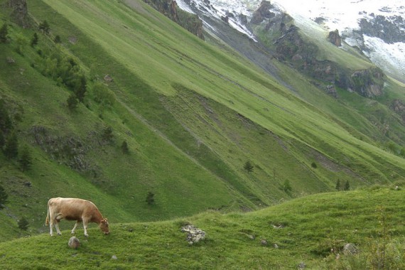 Фотография Национальный парк «Приэльбрусье» 2