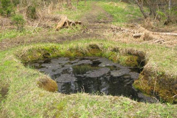 Фотография Таловские чаши 2