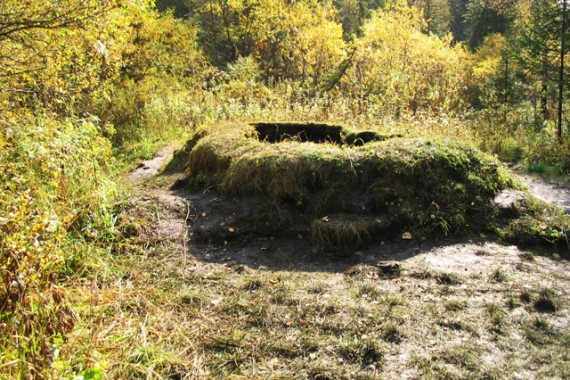 Фотография Таловские чаши 0