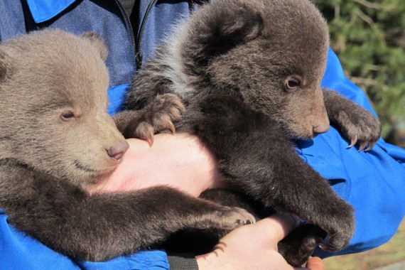 Фотография Зоопарк 7