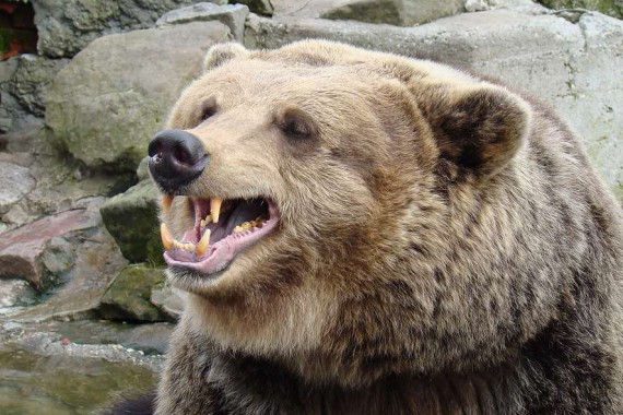 Фотография Зоопарк 4