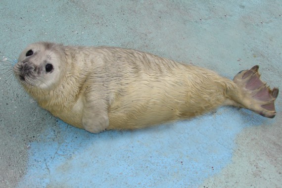 Фотография Зоопарк 9