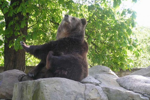 Фотография Зоопарк 6