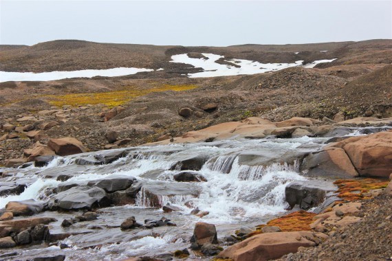Фотография Парк «Русская Арктика» 1
