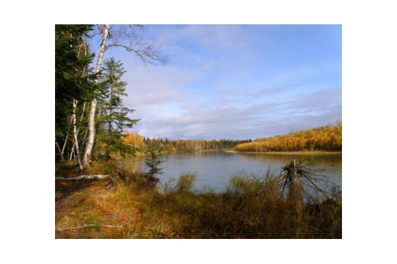 Фотография Заказник «Бобровый» 0