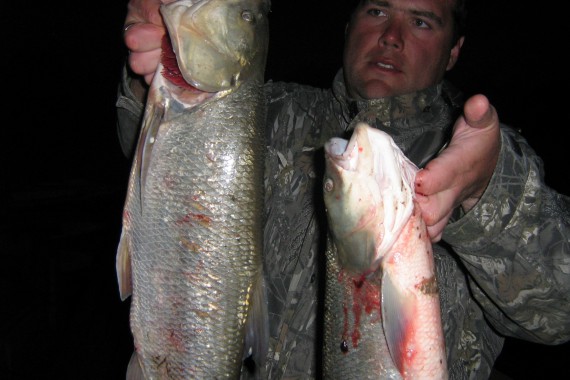 Фотография Рыболовная база «Зеленга» 10