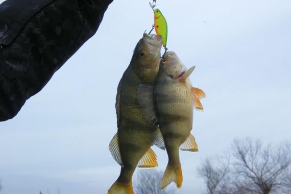 Фотография Рыболовная база «Зеленга» 1