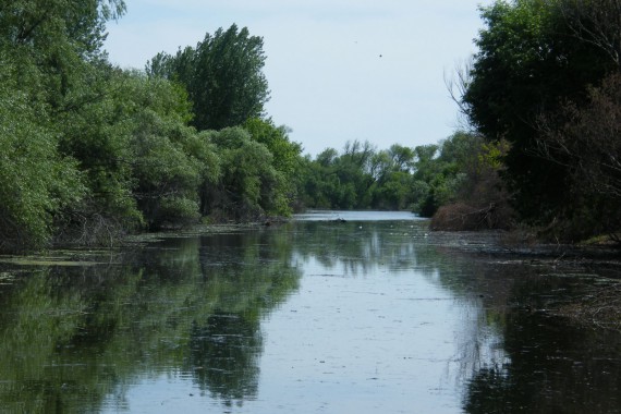 Фотография Гостевой дом «У Константина» 13