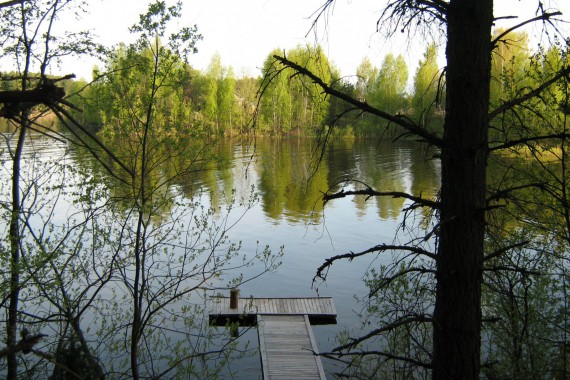 Фотография Рыболовно-охотничья база «Пескарики» 12