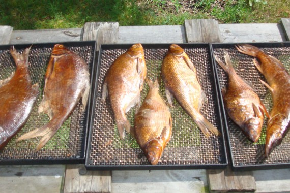 Фотография Рыболовно-охотничья база «Пескарики» 6