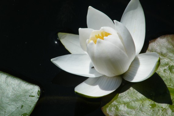 Фотография Рыболовно-охотничья база «Зеленый берег» 14