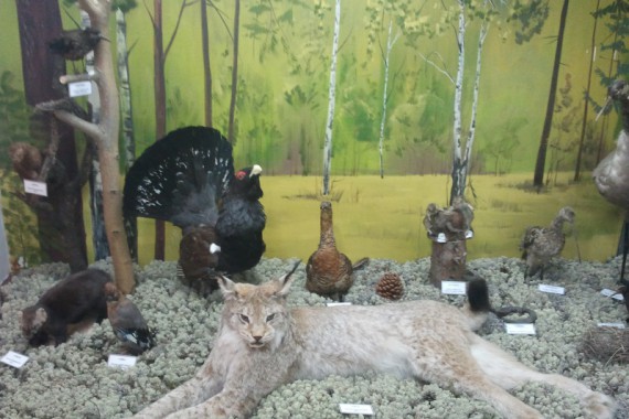 Фотография Хантыйский этнографический музей 3