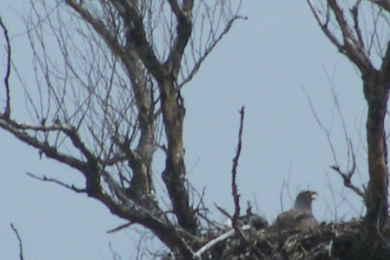 Фотография Гостевой дом «У Константина» 16