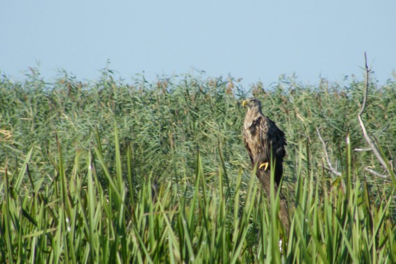 Фотография Рыболовная база «Зеленга» 15